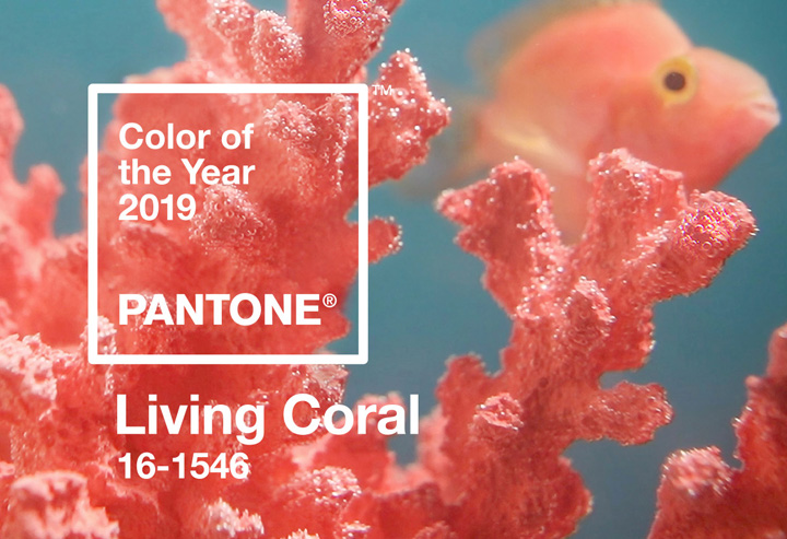 Pantone 2019ɫɺůĹռ